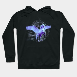 Mystical Fairy #4 Hoodie